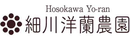 細川洋蘭農園オンラインショップ